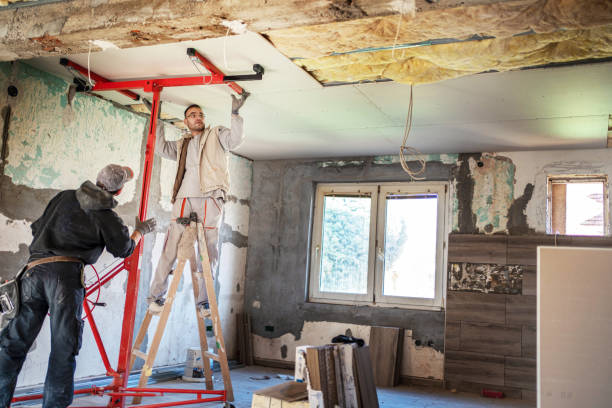 Best Commercial Insulation in Elkton, VA
